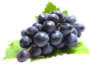 Black Grapes Mastani